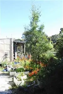 Sixth view of Homely studio listing, 70 Lettes Bay Road, Strahan TAS 7468
