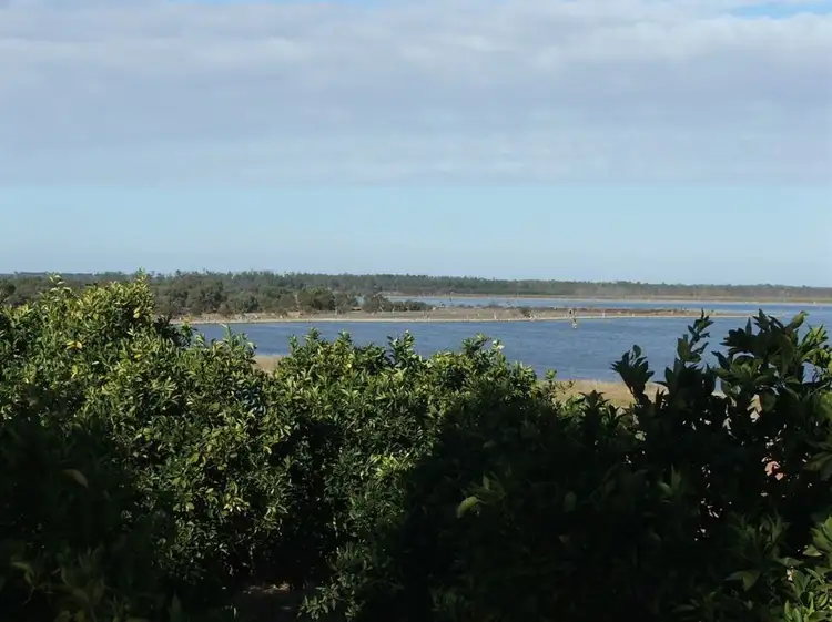 Fourth view of Homely land listing, Lot 8 Government Road, Glossop SA 5344