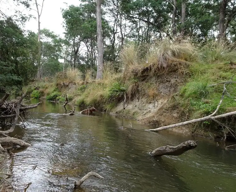 Second view of Homely rural property listing, . Berrydale Road, Montana TAS 7304