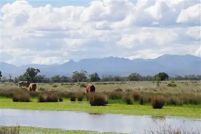 Main view of Homely rural property listing, 17062 Kamilaroi Highway, Narrabri NSW 2390