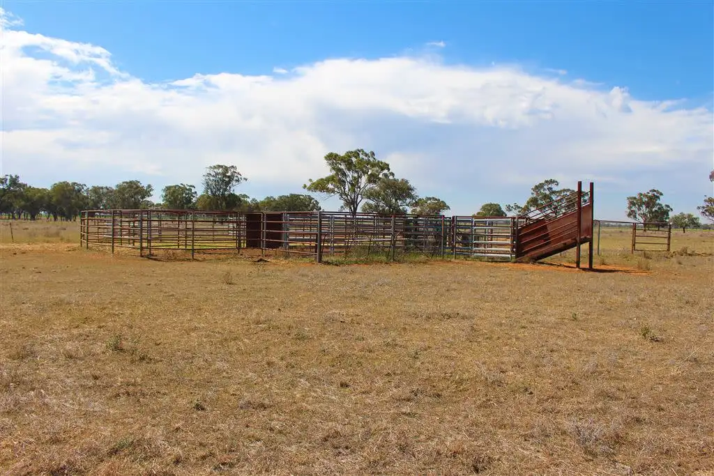 Main view of Homely rural property listing, Address available on request