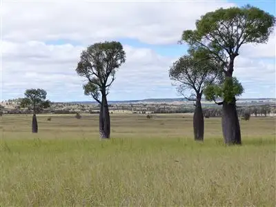 Third view of Homely rural property listing, . "Waterview", Injune QLD 4454