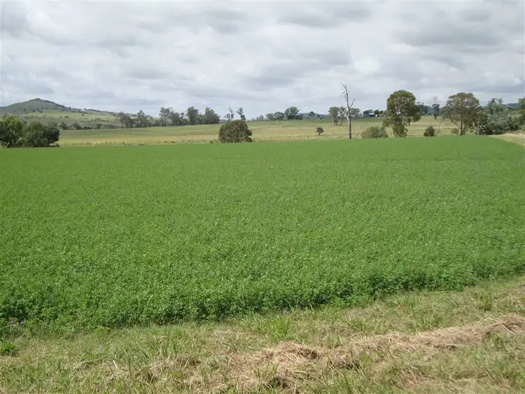 Seventh view of Homely rural property listing, 442 O'Connor Road, Haden QLD 4353