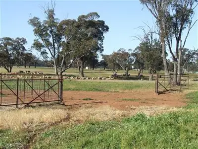 Second view of Homely rural property listing, "AFTON" 323 Donaldson's Road, Narrandera NSW 2700
