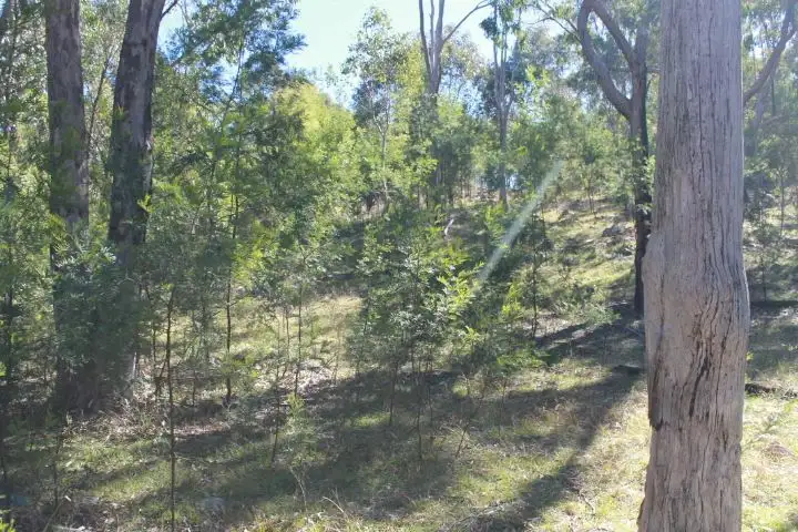 Third view of Homely rural property listing, Lot 9 Torrington Rd, Torrington NSW 2371