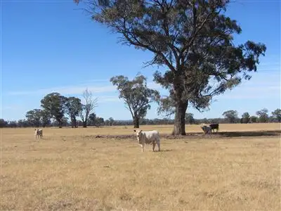 Main view of Homely rural property listing, 0 Teazes Road, Euroa VIC 3666