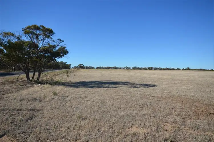 Third view of Homely land listing, 51 Adelaide Road, Lameroo SA 5302
