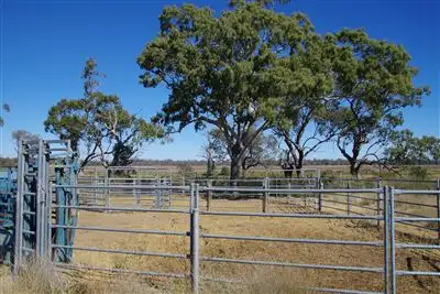 Second view of Homely rural property listing, 20841 Kamilaroi highway, Narrabri NSW 2390