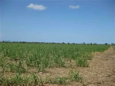 Fifth view of Homely rural property listing, 0 Bilyana Road, Bilyana QLD 4854