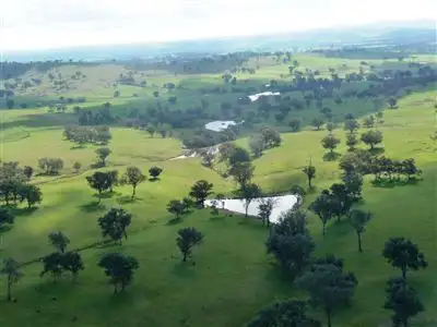 Seventh view of Homely rural property listing, 270 Galena Hills Rd, Holbrook NSW 2644