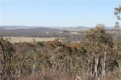 1017 Bombay Road, Braidwood NSW 2622