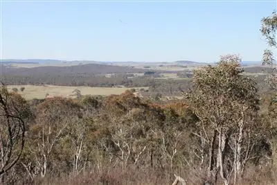 Main view of Homely rural property listing, 1017 Bombay Road, Braidwood NSW 2622