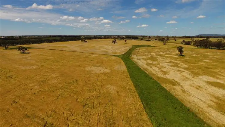 Third view of Homely rural property listing, 2481 Natimuk- Frances Road, Gymbowen VIC 3401