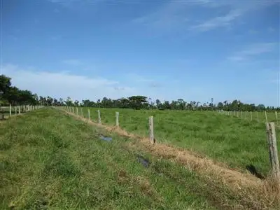 Fifth view of Homely rural property listing, 22 Russell Henry Road, Murray Upper QLD 4854
