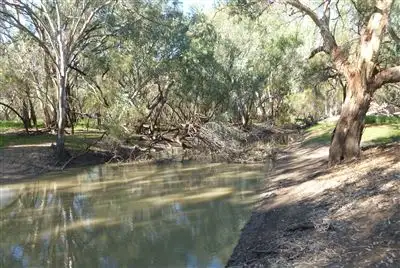 Fifth view of Homely rural property listing, " Windella, Nyngan NSW 2825