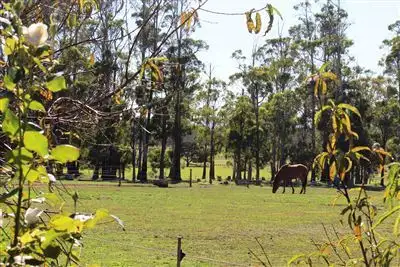 Third view of Homely rural property listing, 341 Appleby Road, Thirlstane TAS 7307