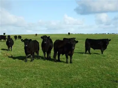 Main view of Homely rural property listing, 120 Don Kendall Drive, Loorana TAS 7256