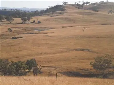 Main view of Homely rural property listing, * Coondarra, Upper Horton NSW 2347