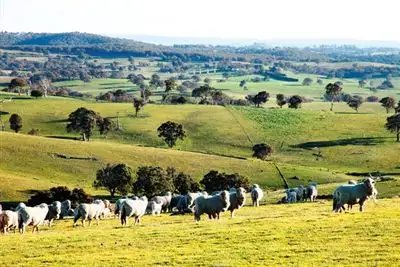 Sixth view of Homely rural property listing, 387 Bigga Road, Binda NSW 2583