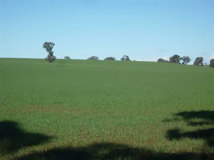 Third view of Homely rural property listing, - -, Carapooee VIC 3477