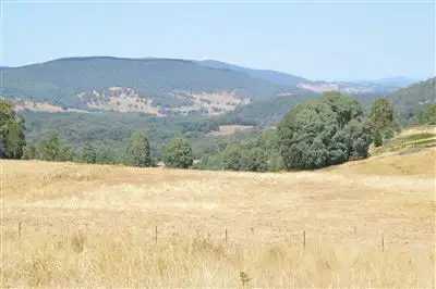 Third view of Homely rural property listing, Sunnyside 1100 Batlow Road, Tumbarumba NSW 2653