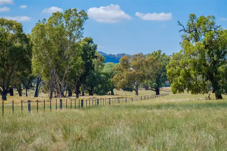 Main view of Homely rural property listing, "Hillview"/186 Wagga Road, Holbrook NSW 2644