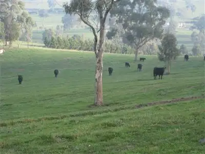 Fifth view of Homely rural property listing, Address available on request