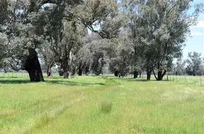 Fourth view of Homely rural property listing, 00 Docker Carboor Road, Bobinawarrah VIC 3678