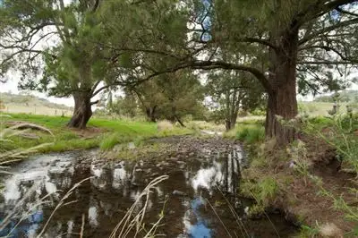 Second view of Homely rural property listing, 2260 Pages Creek Rd, "Harlyn", Ellerston via, Scone NSW 2337