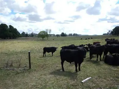 Fifth view of Homely rural property listing, GRANTHAM URALLA-ENMORE ROAD, Uralla NSW 2358