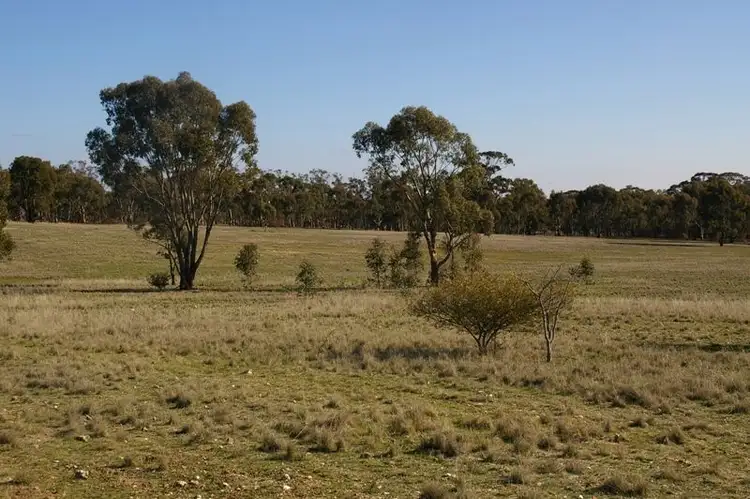Seventh view of Homely rural property listing, . Morrl Morrl Forest Rd, Morrl Morrl VIC 3387