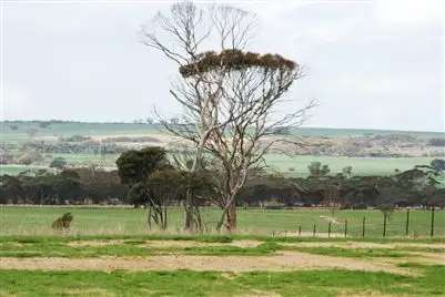 Third view of Homely rural property listing, Address available on request