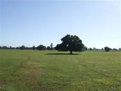 Second view of Homely rural property listing, 77 Boundary Road, Boree Creek NSW 2652