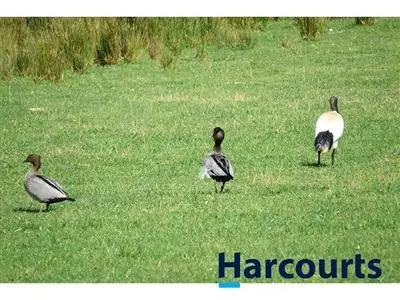 Fourth view of Homely rural property listing, 710 McDonalds Track, Thorpdale VIC 3835