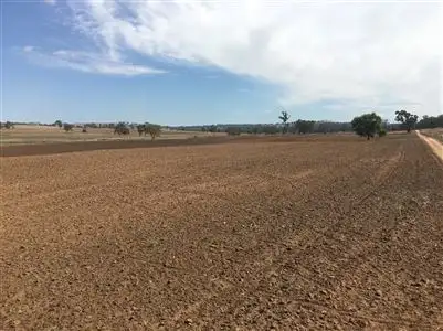 4861 Mendooran rd, Coonabarabran NSW 2357