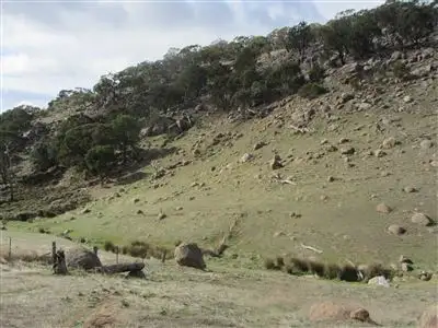 Sixth view of Homely rural property listing, 0 Off Upton Road, Avenel VIC 3664