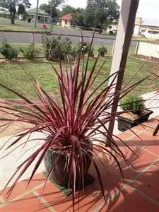 Third view of Homely house listing, 2 HILL STREET, Manilla NSW 2346