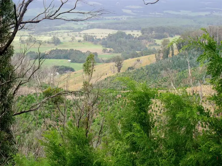 Main view of Homely rural property listing, 1562 Yarram-Morwell Road, Madalya VIC 3971