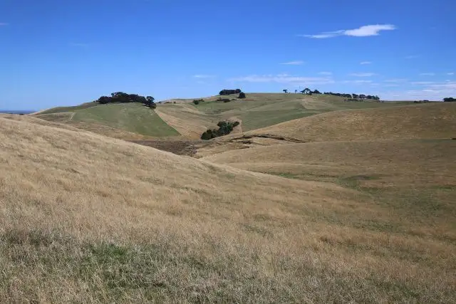 Seventh view of Homely rural property listing, 76 Rees Road, Jumbunna VIC 3951