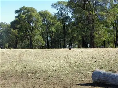 Seventh view of Homely rural property listing, 58 Drummonds Lane, Heathcote VIC 3523