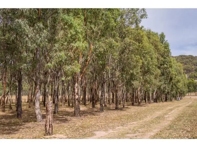 Fifth view of Homely rural property listing, 588 Euroa Mansfield Road, Euroa VIC 3666