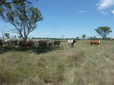 Lot 169/400 Dumaresq Road, Armidale NSW 2350