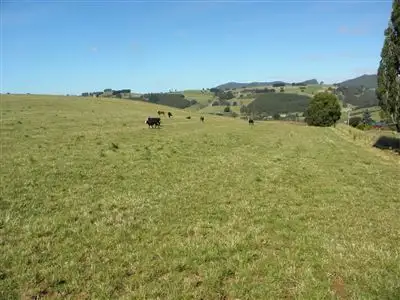 Third view of Homely rural property listing, 249 Camena Road, Natone TAS 7321