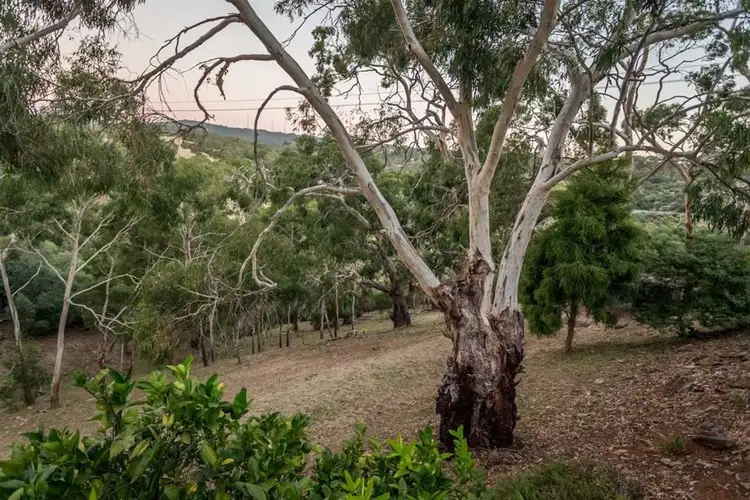 Fourth view of Homely house listing, 57 Gleneagles Road, Mount Osmond SA 5064