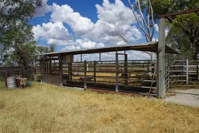 Sixth view of Homely rural property listing, 28525 Kamilaroi Highway, Burren Junction NSW 2386