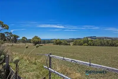 Seventh view of Homely house listing, 449 Mount Hicks Road, Mount Hicks TAS 7325