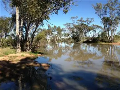 Fifth view of Homely rural property listing, " Nidgery Downs", Nyngan NSW 2825