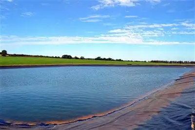 Second view of Homely rural property listing, 5297 Brand HWY, Beermullah WA 6503