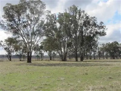 Third view of Homely rural property listing, 200 Plozzas Road, Violet Town VIC 3669