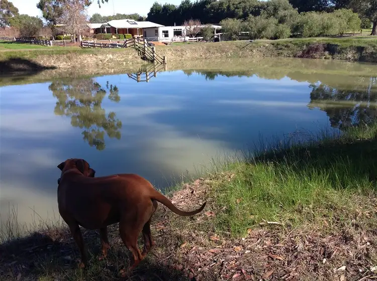 Second view of Homely rural property listing, 32 Parkland View, Manjimup WA 6258